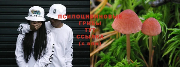 хмурый Абдулино