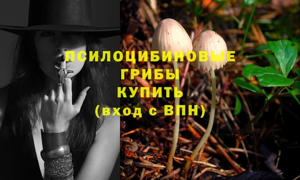 Альфа ПВП Абаза