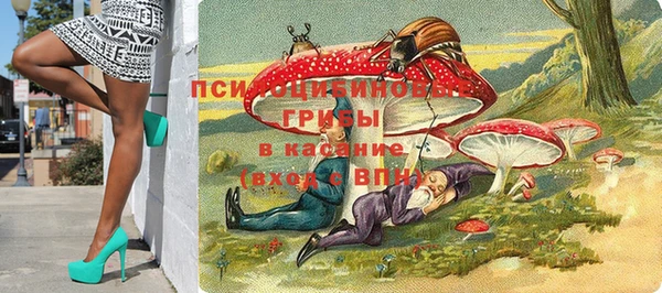 хмурый Абдулино