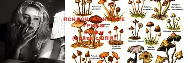 хмурый Абдулино