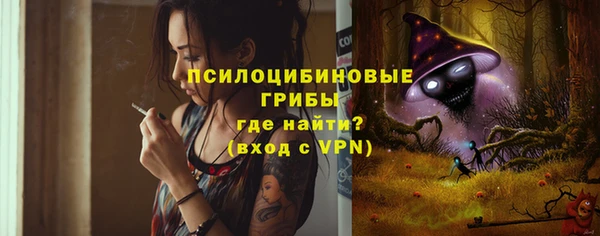 Альфа ПВП Абаза