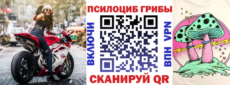 Галлюциногенные грибы ЛСД  kraken вход  Шенкурск  наркотики 