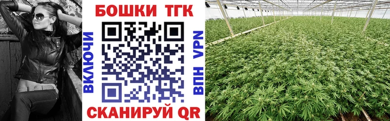 Бошки Шишки Amnesia где можно купить наркотик Шенкурск